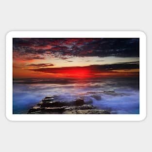 Sunrise at Wamberal Beach Sticker